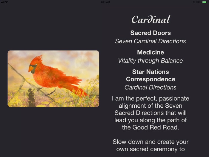 Animal Totems Empowerment Deck