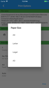 Cloud Ready printer screenshot