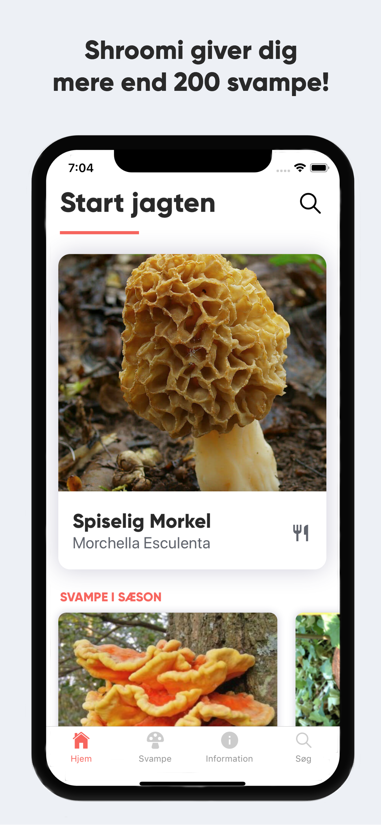 Shroomi - Danske Svampe