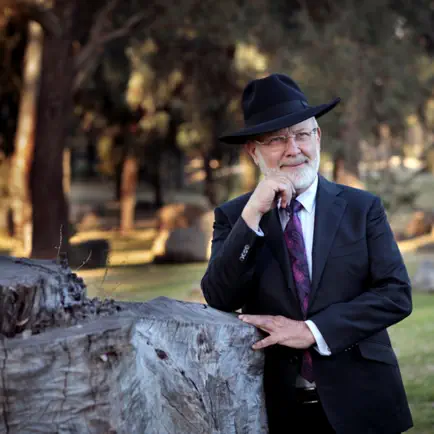 Rabbi David Lapin Читы