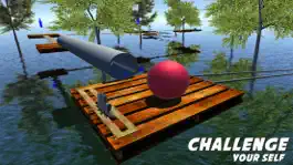 Game screenshot Balance The Crazy Ball apk