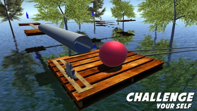 Balance The Crazy Ball Screenshot