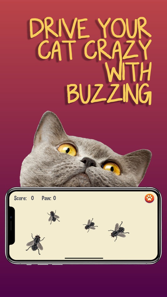 #4. Cat Games (iOS) 由: Mindsoft Technology