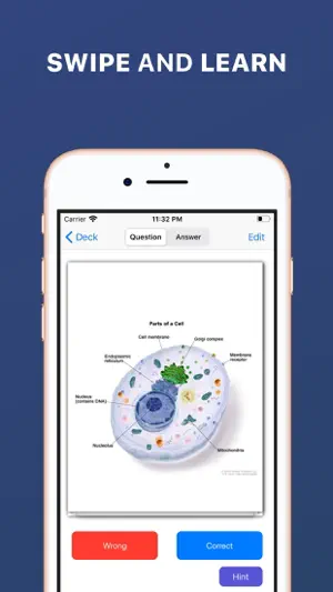 Flashcard Max screenshot 1