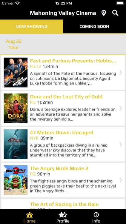 Mahoning Valley Cinema