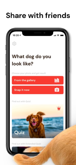 What Dog Do I Look Like ? Twin(圖5)-速報App