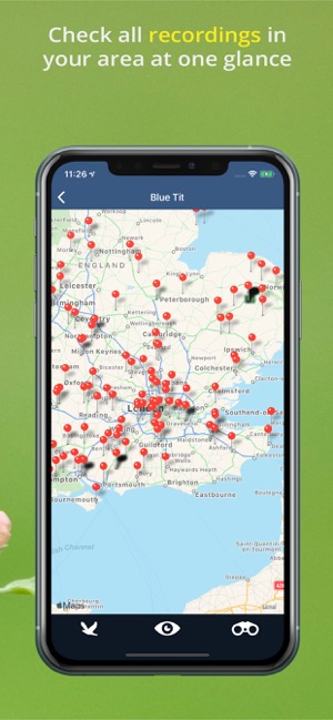 Bird Song Id UK(圖9)-速報App