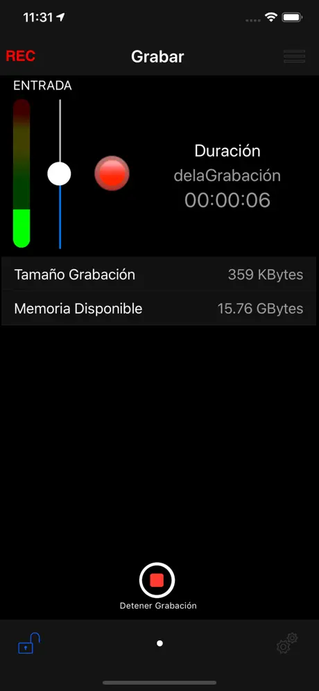 Report-IT Lite