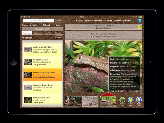 Screenshot #6 pour Florida Lizards