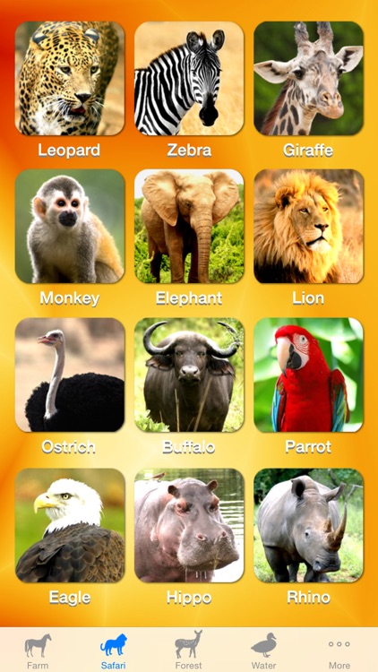 Zoola Animals - Lite screenshot-4