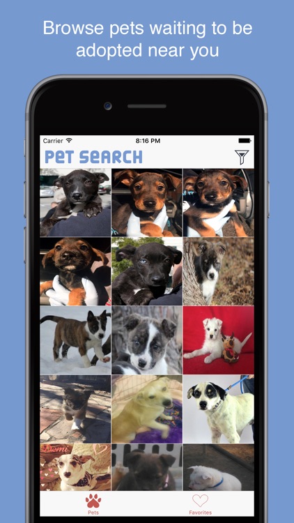 Pet Search - Adopt a Pet