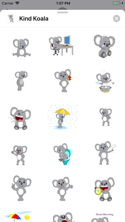 Kind Koala