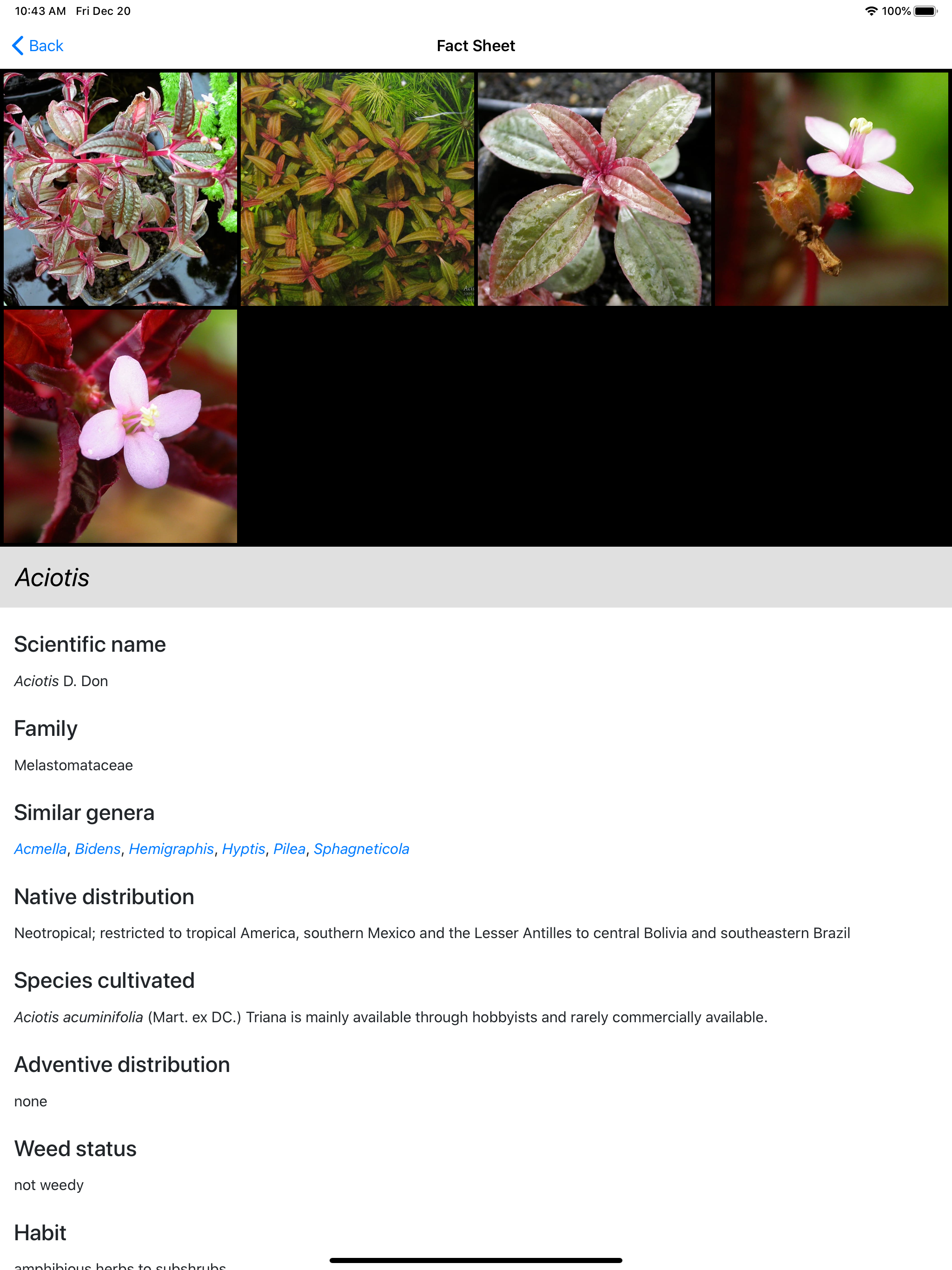 Aquarium and Pond Plant ID