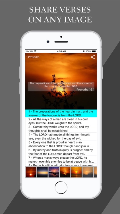 Adam Clarke's Commentary screenshot-6