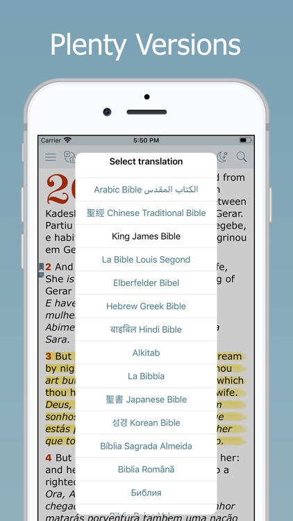 Bilingual Bible Multi Language