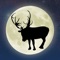 ***SANTA'S OFFICIAL REINDEER LIVE FEED***