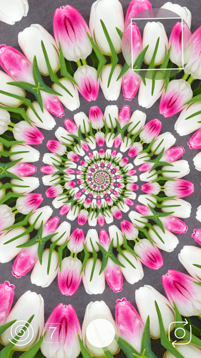 Kaleidoscope Camera Screenshot