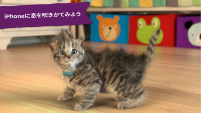 小さな子猫 - 私の好きな猫   3+ screenshot1