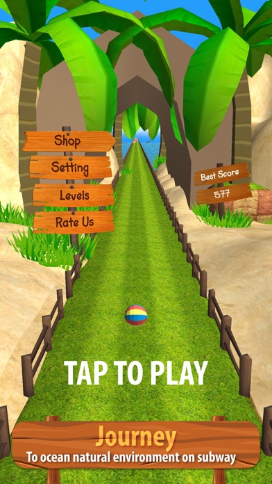 SpeedBall : The ocean Runner Screenshot