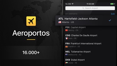 Flight Board screenshot 3