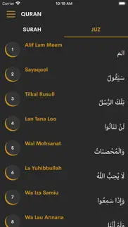 quran with hindi translation problems & solutions and troubleshooting guide - 3