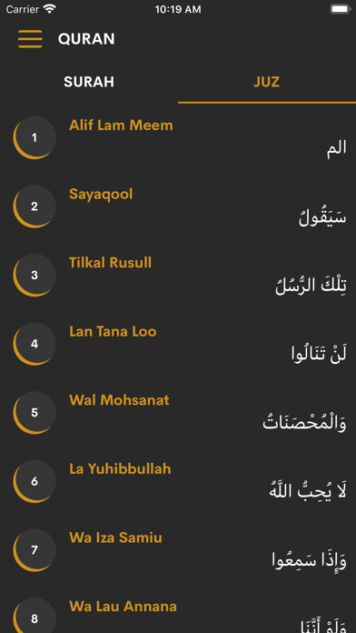 Quran with Hindi translation Screenshot