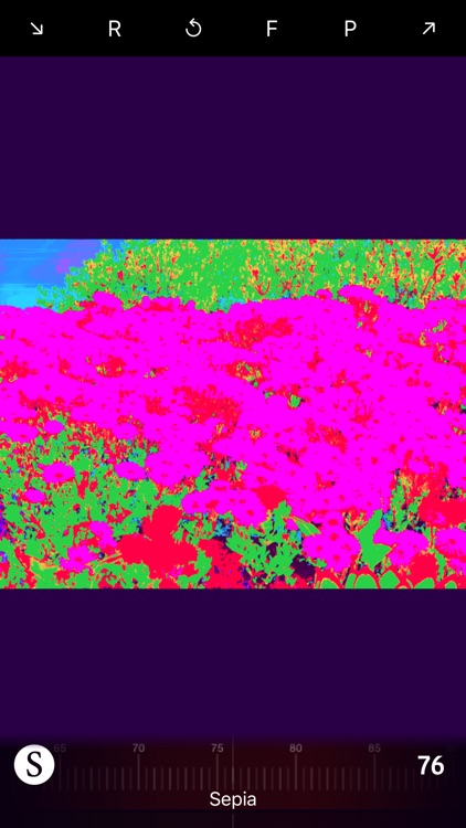 Imaage Glitch Filters