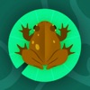 Twirly Toad - iPhoneアプリ