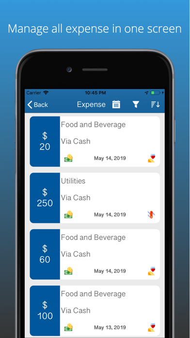 Expense & Income Money Manager Screenshot