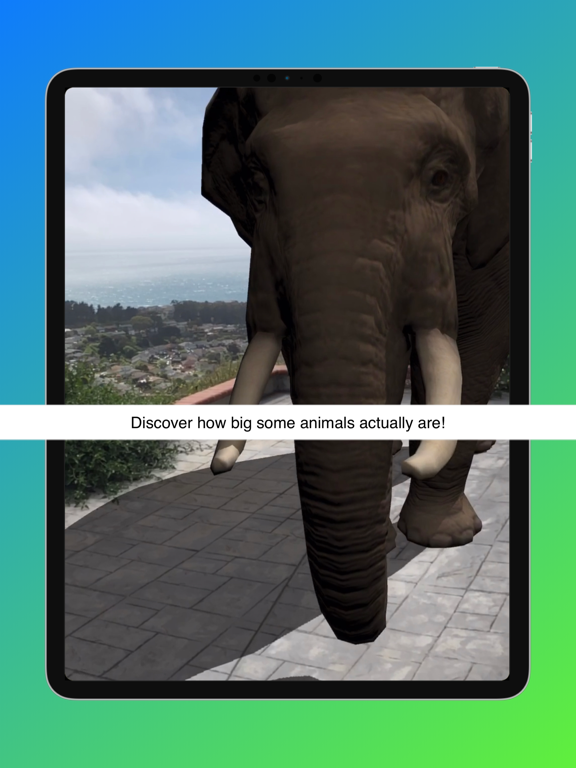 Animal Safari AR - 3D Learning iPad screenshot 4 - Entertainment app