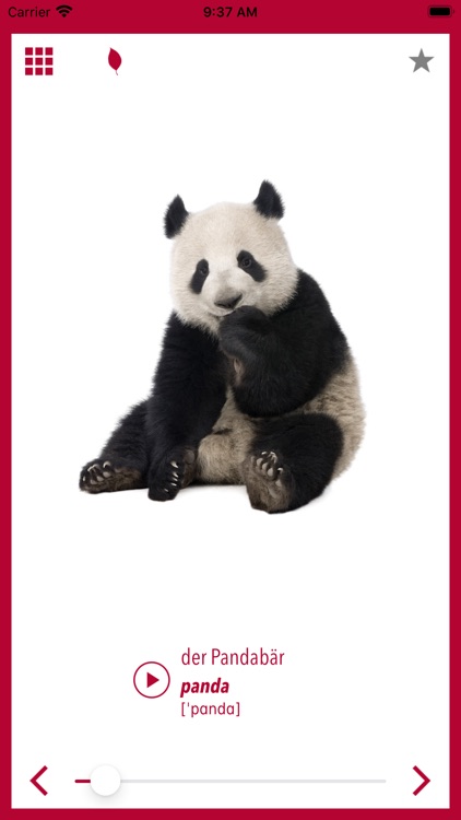 Bildwörterbuch für Türkisch