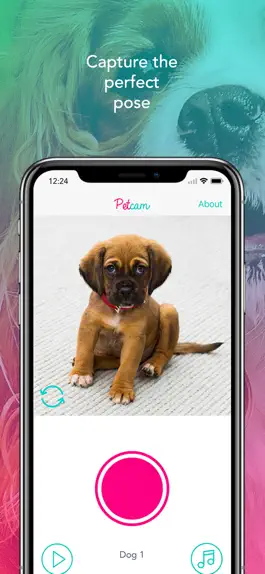 Game screenshot Petcam - Pet Camera hack