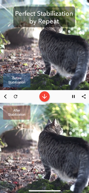 ‎Deshake Video - Stabilization Screenshot