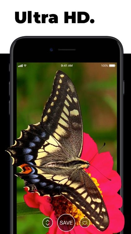 Live Wallpapers for Me
