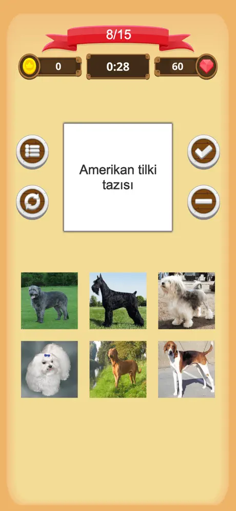 Köpekler - Sınav