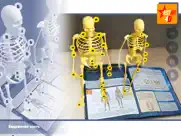 astar 4d айпад изображения 2