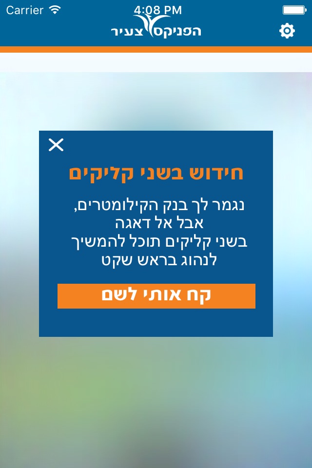 הפניקס צעיר screenshot 4