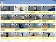 bagua zhang ipad images 1