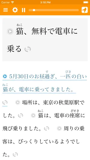 Satori Reader screenshot 3