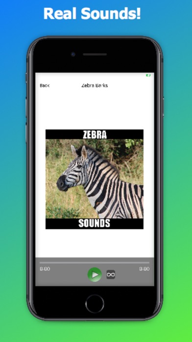 Screenshot #3 pour Zebra Sounds