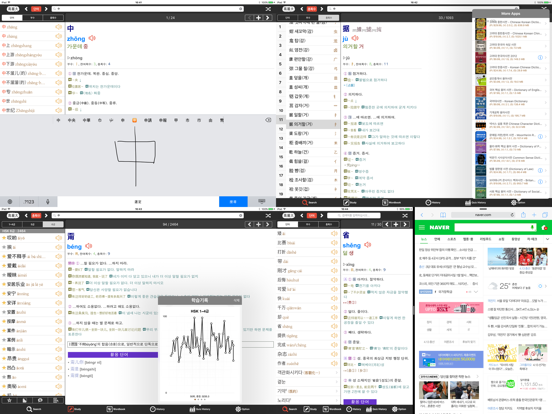 고려대 중한사전 - ChKo DIC iPad screenshot 5 - Reference app