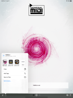 GM MIDI Player screenshot 7