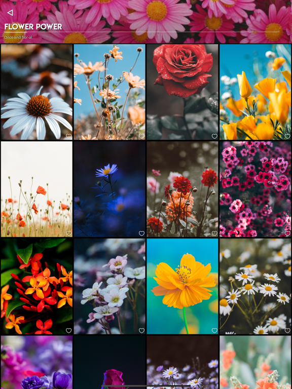 Kuvik Wallpapers iPad screenshot 10 - Entertainment app