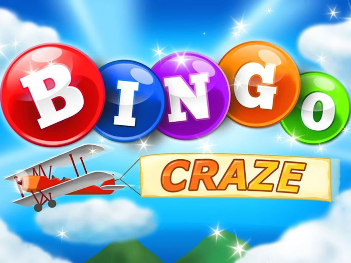 Bingo Craze