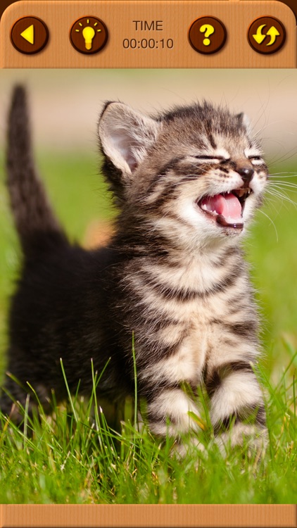 Cat Kitten Jigsaw Puzzle Games screenshot-5