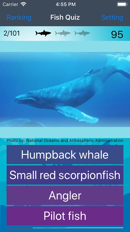 Fish Quiz 2020 screenshot-6