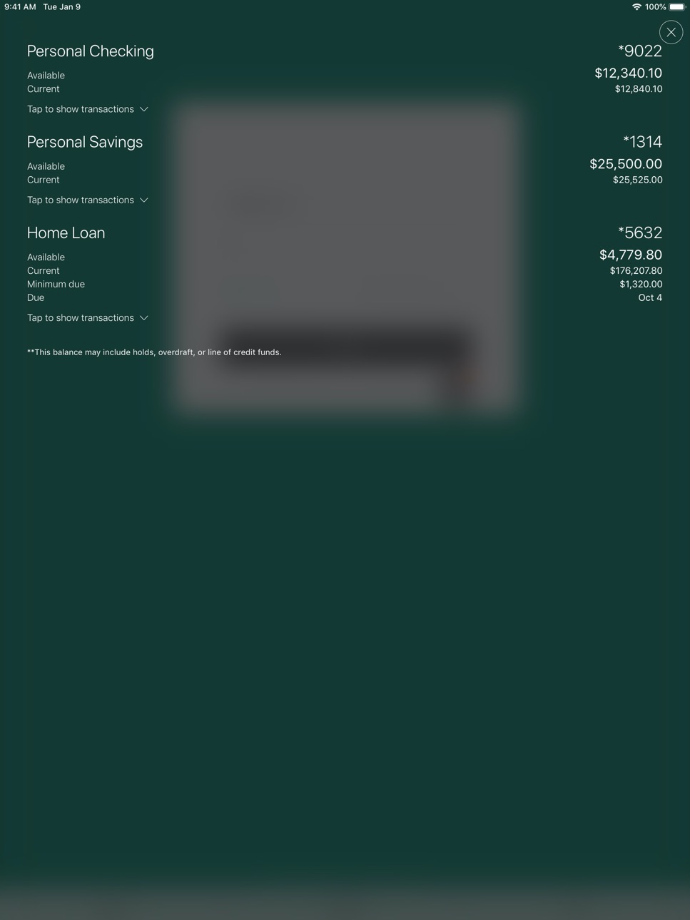 iPad screenshot