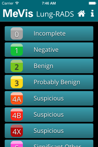 MeVis Lung-RADS - náhled