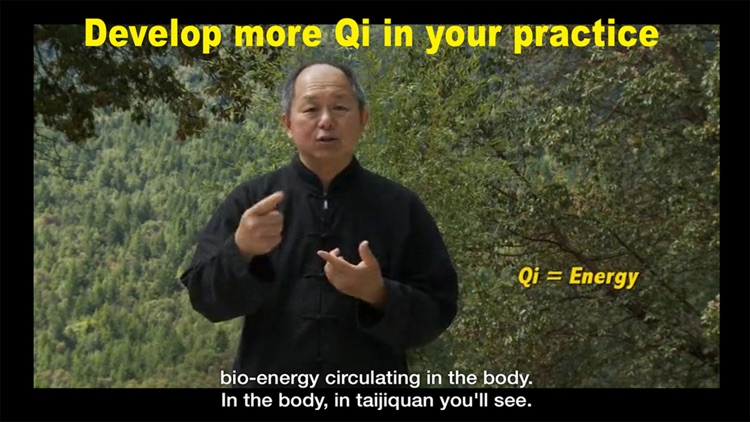 Yang Tai Chi for Beginners 1 screenshot-4