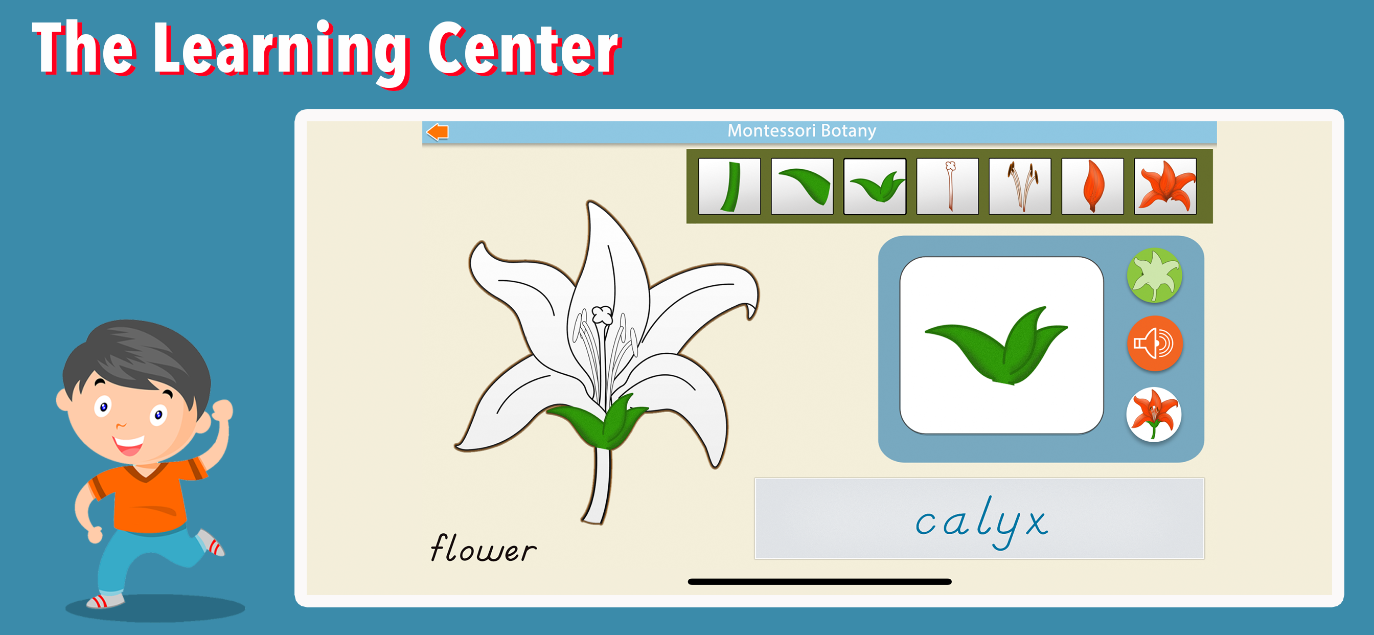 Learn Botany - Parts of Plants screenshot 2